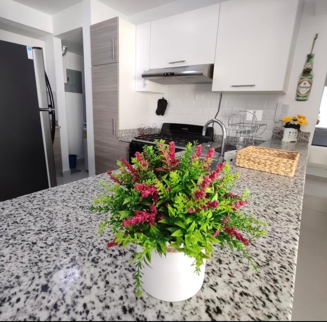Apartment Caribbean Relax Apartamento Acogedor Punta Cana